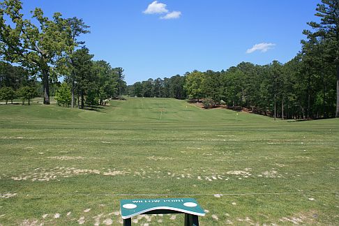 willow point golf course lake martin